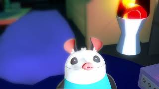 possum facts