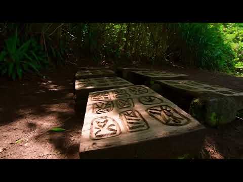 Rongorongo Script of Easter Island – Could a child in 2025 accidentally read it?