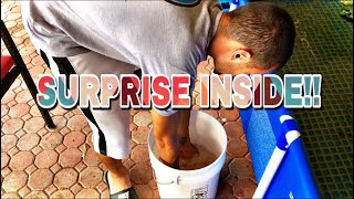 What’s New NOW?! *Monster Pool Pond*