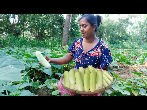 Some of the special dishes I make for cucumber flavor.. .village kitchen recipe