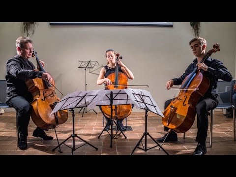 O. Mandozzi & S.C.A / Vivaldi, La Follia for 3 cellos / String Concert Academy