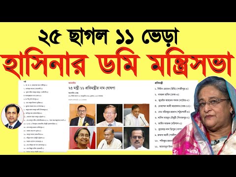 ২৫ ছাগল ১১ ভেড়া || হাসিনার ডমি মন্ত্রিসভা #Nazmul_Hasan #New_York_Voice