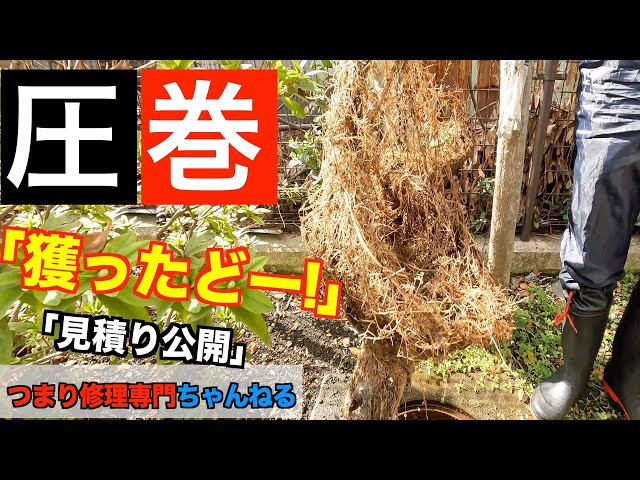 【高圧洗浄】詰まりの原因を「獲ったどー!」