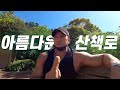 그저 평범하게 제주도 산책로에서 힐링하는 황철순 영상