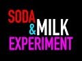 Soda and Milk Experiment ~ DIY Incredible Science