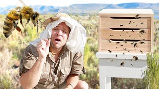 DAVID EDINBURGH 🐝 BEE STINGS | Three Peaks Manuka Honey [GIVEAWAY]