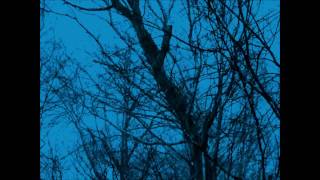 preview picture of video 'Stopping by Woods on a Snowy Evening: A Short Film Adaptation'