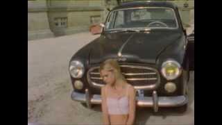 Marshall headphones - exile 8mm