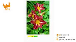I LOVE FLOWERS | HỌC TIẾNG ANH CHO BÉ | LEVEL A | WLi