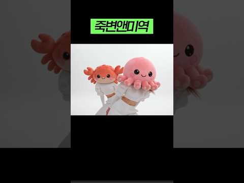 죽변항수산물축제가 A2O 만나면?
