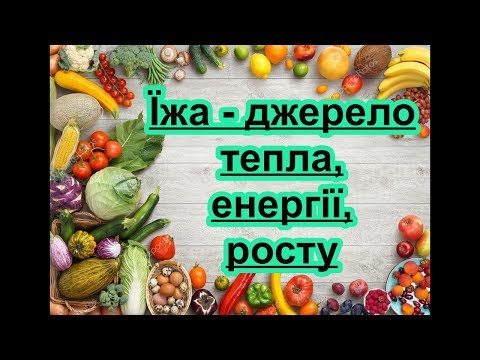 Їжа - джерело тепла, енергії, росту #їжа #енергія #навіщоїсти