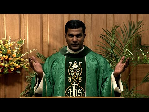 Catholic Mass Today | Daily TV Mass, Tuesday November 25, 2025