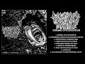 BASIC TORTURE PROCEDURE - SCREAMS OF DISSOLUTION