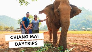 Favorite Daytrips from Chiang Mai Thailand | Elephants, Temples, & Mountains