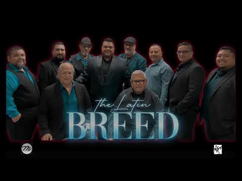 The Latin Breed   The Levitt Pavilion 2022