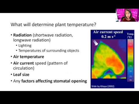 #13 - Back to Basics: Plant Responses to Temperature