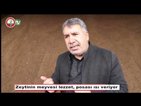 Nizip’te Çeltik Odun Üretimi