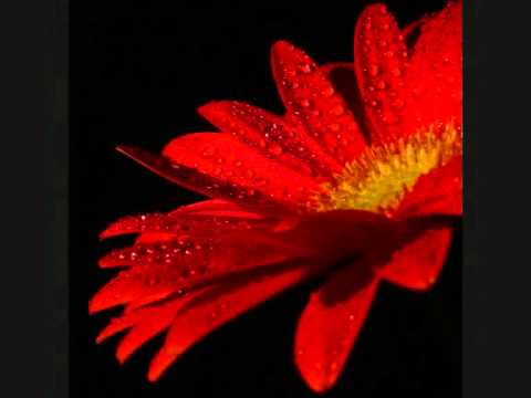 Karel Plíhal - O písničce