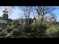 Film: Angelique Hoogeveen