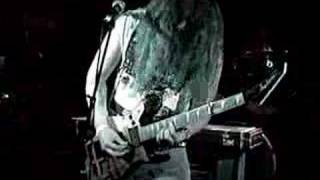 Vektor- Venus Project