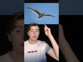 Real Life Glitches Caught On Camera Shorts