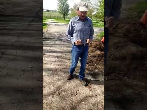 How We Found a Water Pipe: Water Witching