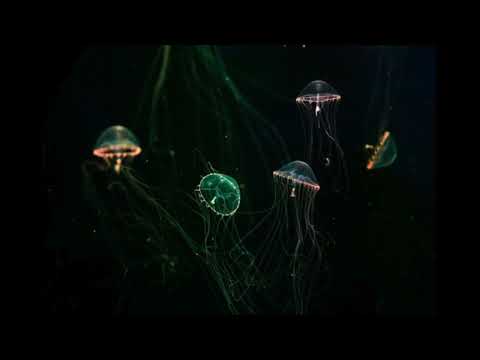 Elijah Fox - Barcelona (feat. Al Strong) 8D audio