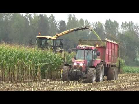 Loonw. Hanskens - Bassilly - maïs hakselen - New Holland FX 58