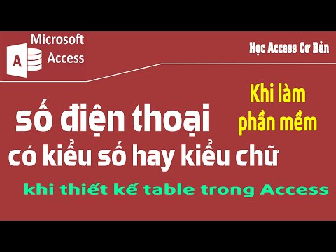cot so dien thoai co kieu so hay kieu chu khi thiet ke table trong access