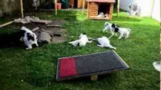 TiBi Kinder von Mona und Bobby