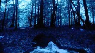 Then Jerico | Darkest Hour