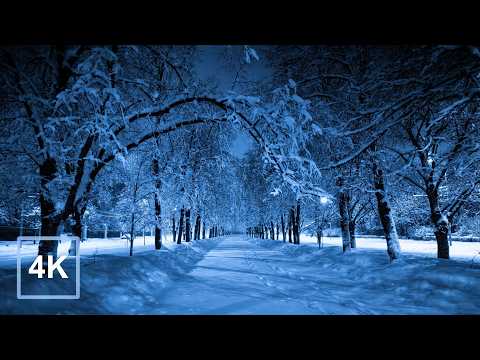 3 Hours of Most Relaxing Night Snow Walk in Finland • 4K HDR ASMR for Deep Sleep & Stress Relief