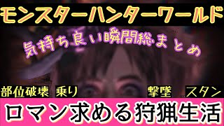 【MHW】モンスターハンターワールド【気持ち良い瞬間！】平成最後の総まとめ