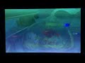 Finding Nemo P Sherman 42 Wallaby Way Sydney In Full Screen