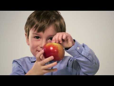 HT1 Sendungvom 01.12.2017