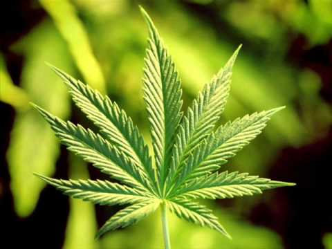 Beat Squad - Dobre Czasy