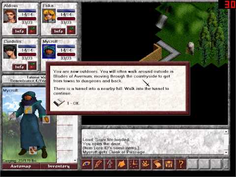 Blades of Avernum PC