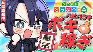 【あつまれどうぶつの森】島クリには金がいる...【長尾景/にじさんじ】