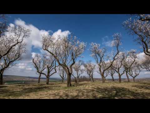 Hymna České republiky - 2017 Česká televize