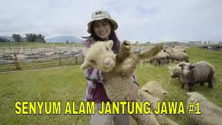 Download lagu SENYUM ALAM JANTUNG JAWA JEJAK PETUALANG Part 1... mp3