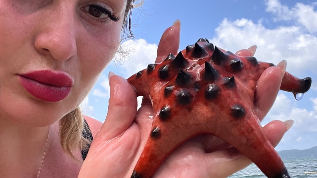 ФУКУОК, большая  экскурсия, на джипах!( рыбацкая деревня, пляж с звездочками, ?