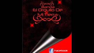 la plebe sinaloense-banda el orgullo de mi tierra.wmv