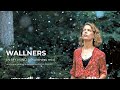 Wallners - In my mind (awareness remix) - from Roter Himmel soundtrack