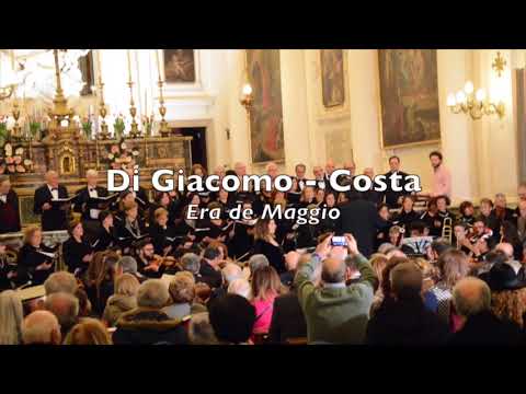 Orchestra Giovanile Sanitansamble