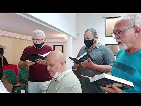 HINO 113 HNC ACHEI O BOM AMIGO