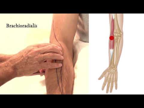 rheumatoid arthritis otthon kezelhető