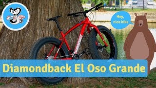 Fat Bikes are Amazing Fun! Diamondback El Oso Review