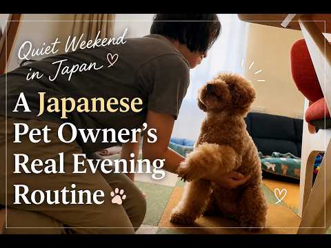 Quiet Weekend in Japan | A Japanese Pet Owner's Real Evening Routine 🐶
