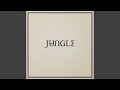 Keep Moving by Jungle