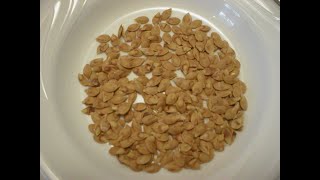 Roasted Acorn Squash Seeds (No Oil)
